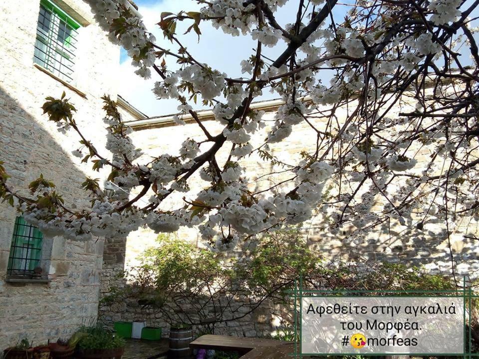 Morfeas Guesthouse Papigko Ngoại thất bức ảnh