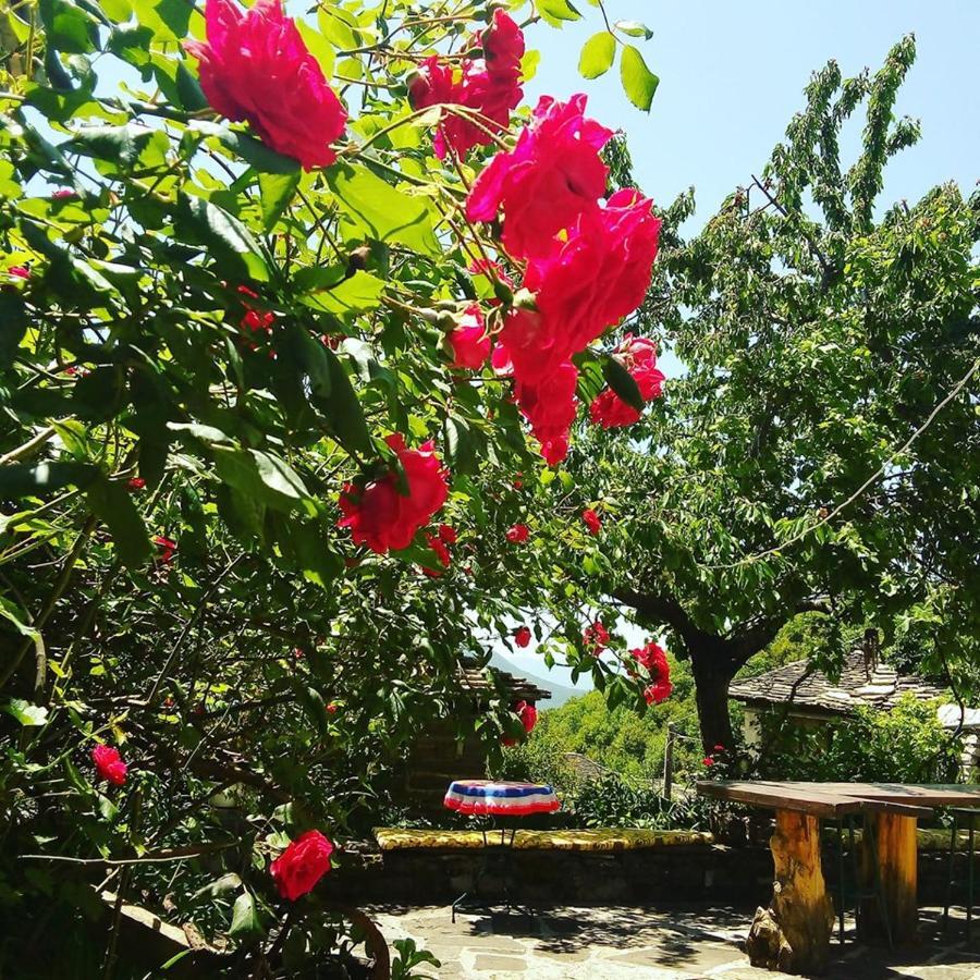 Morfeas Guesthouse Papigko Ngoại thất bức ảnh